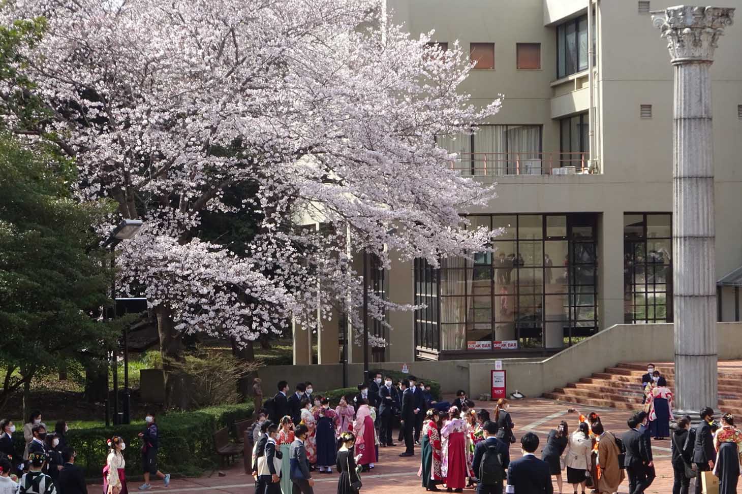 Université de Tsukuba. Photo : S. Kuroda